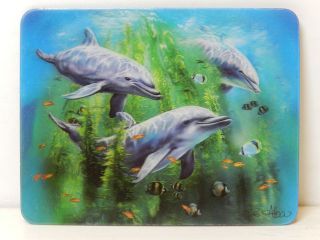 Obrázek z Magnet 3D 7x9cm - delfíni v chaluhách (25) 